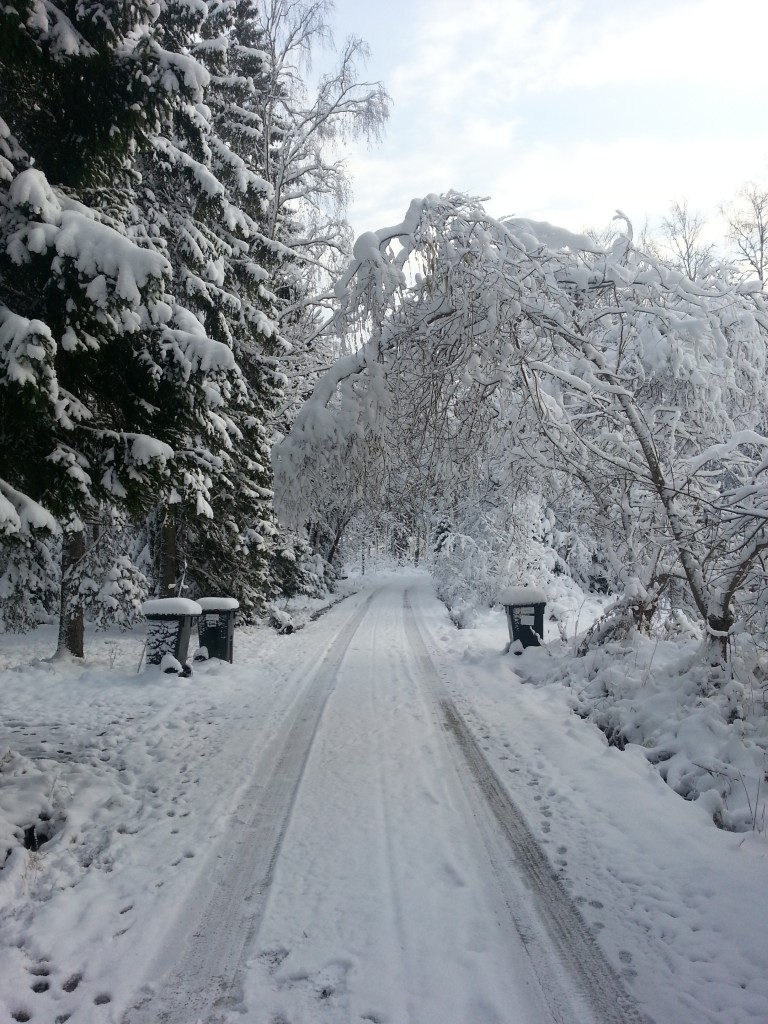 2012-12-01 12.42.10