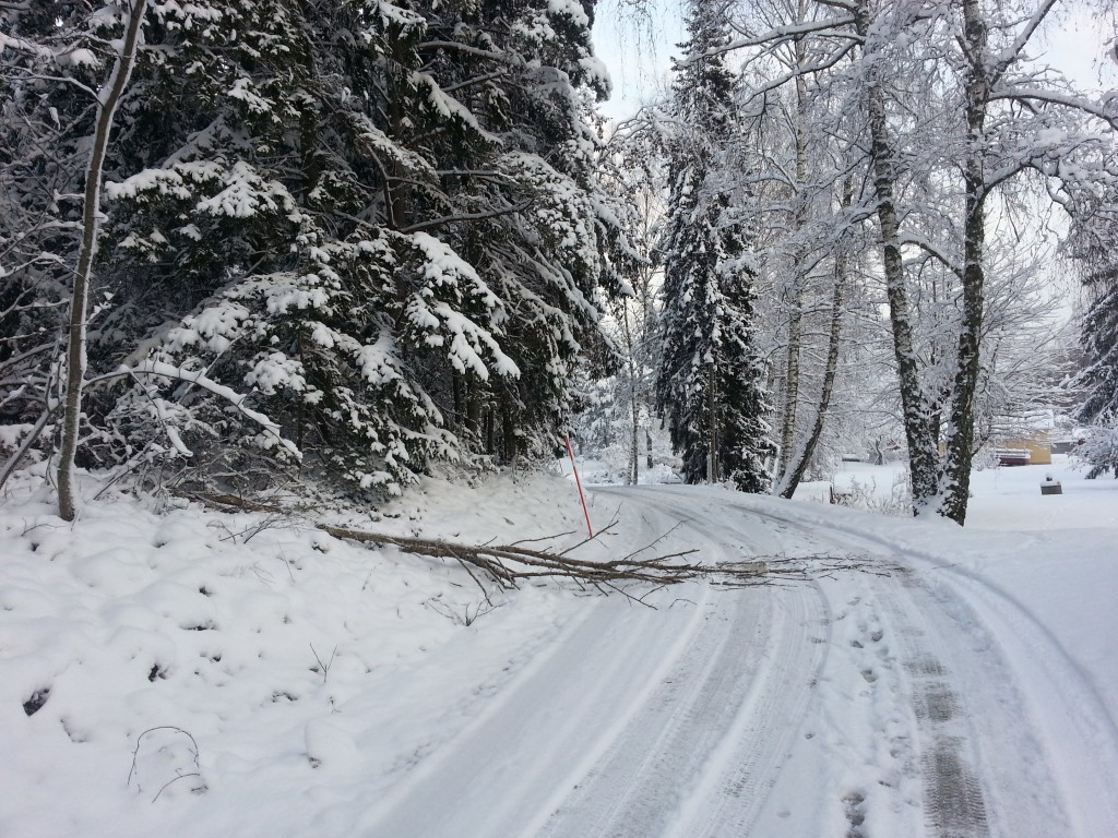 2012-12-01 12.50.03
