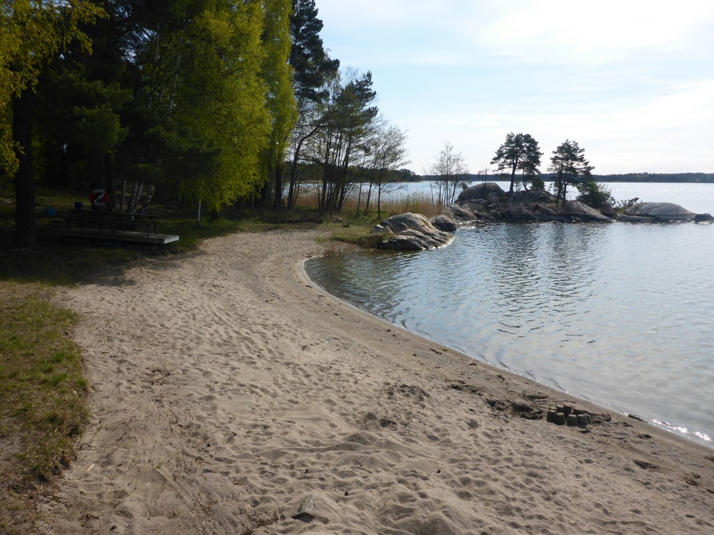 wpid-1010099.jpg