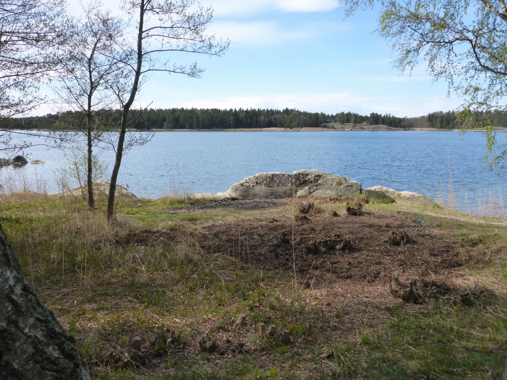 wpid-10101010.jpg